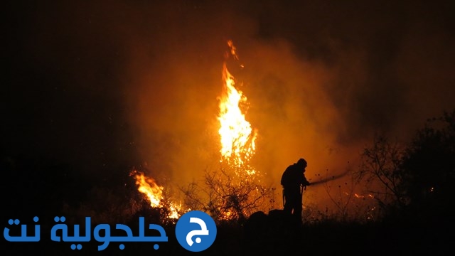 حريق هائل يلتهم مئات الدونمات من اشجار الزيتون في كفر قاسم